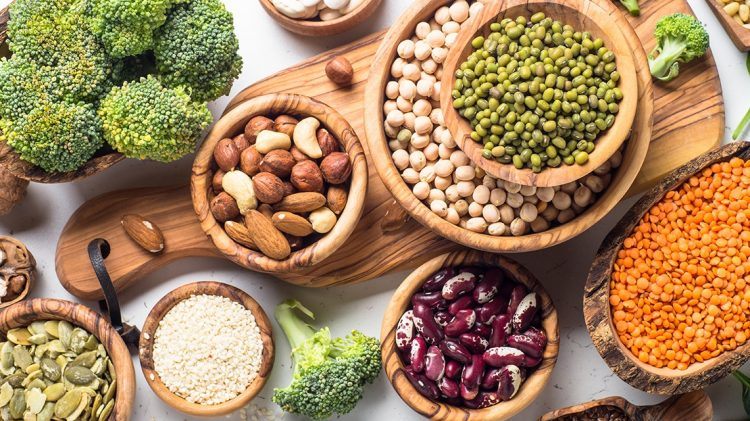The best plant-based sources of protein - PUMA CATch up