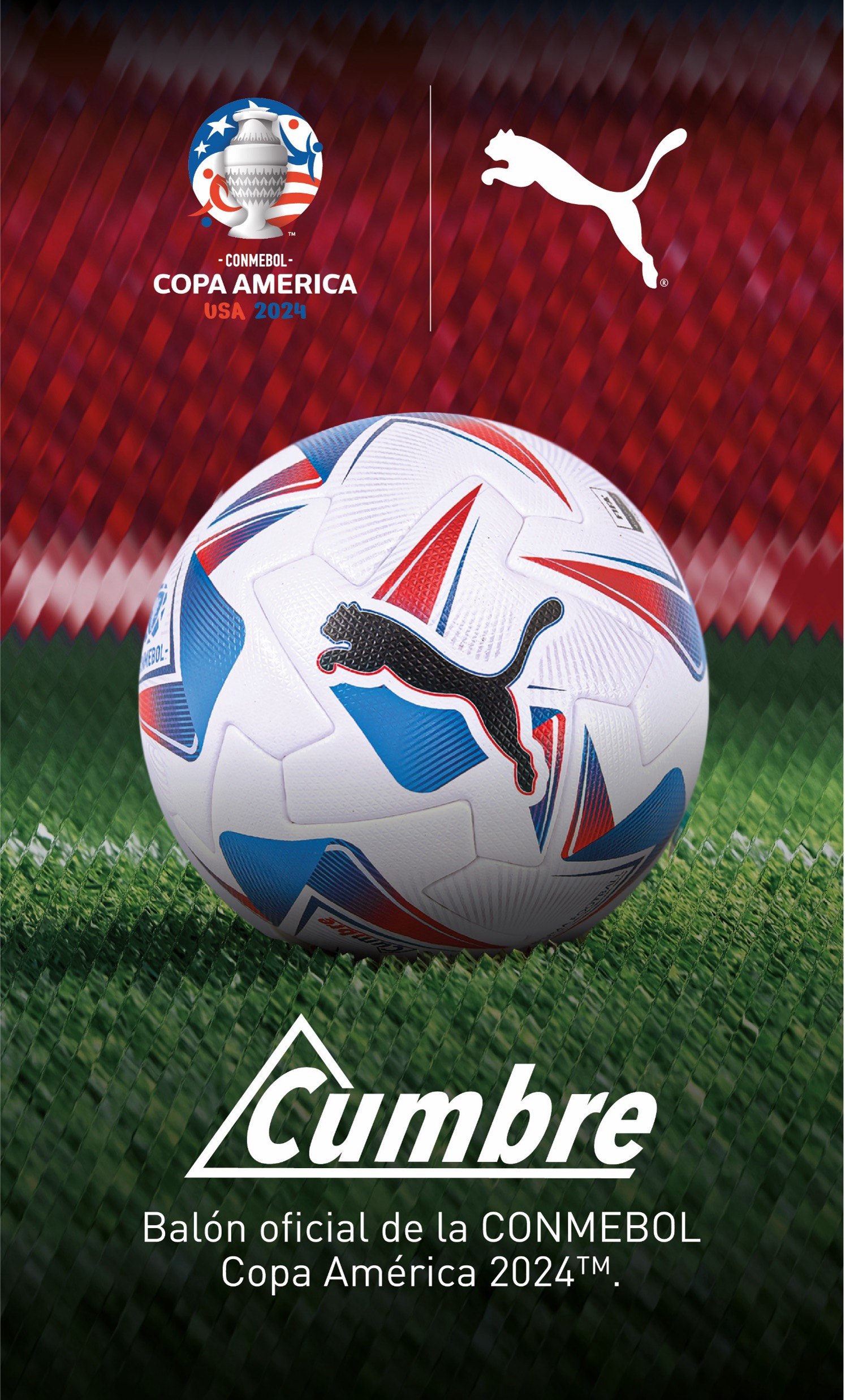 Copa America Conmebol Sidepanel - PUMA CATch up